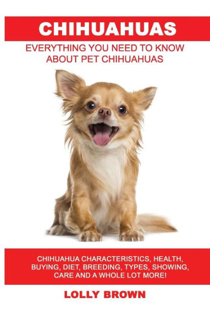 are chihuahuas a healthy breed