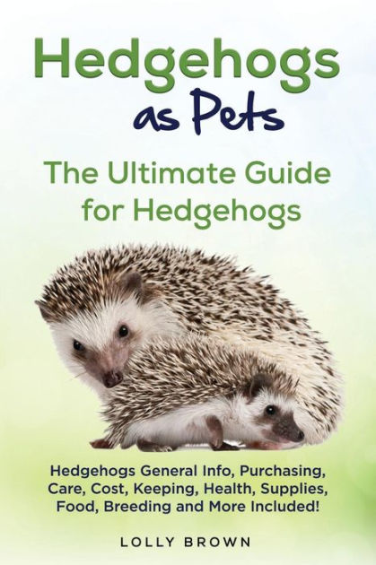 hedgehog pet supplies