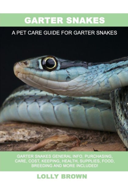 Garter Snakes: Garter Snakes General Info, Purchasing, Care, Cost ...