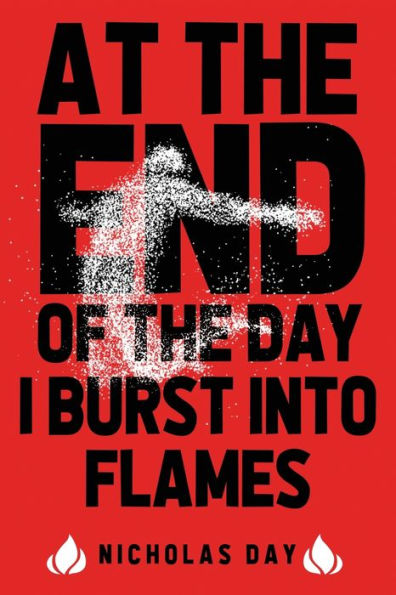 At The End Of The Day I Burst Into Flames