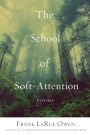 The School of Soft-Attention