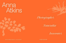 Alternative view 4 of Anna Atkins: Photographer, Naturalist, Innovator