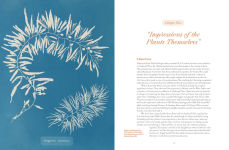 Alternative view 6 of Anna Atkins: Photographer, Naturalist, Innovator