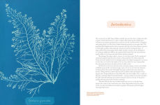 Alternative view 8 of Anna Atkins: Photographer, Naturalist, Innovator