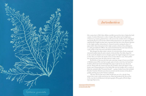 Anna Atkins: Photographer, Naturalist, Innovator