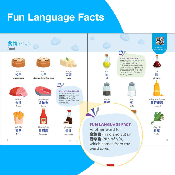 Rosetta Stone Mandarin Chinese Picture Dictionary (Simplified)