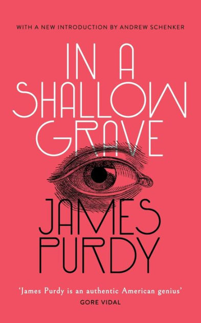 Download Narrow Rooms By James Purdy
