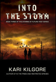 Title: Into the Storm, Author: Kari Kilgore