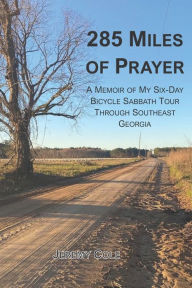 Title: 285 Miles of Prayer: A Memoir of My Six-Day Bicycle Sabbath Tour Through Southeast Georgia, Author: Jeremy Cole