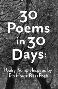 Title: 30 Poems in 30 Days: Poetry Prompts Inspired by Trio House Press Poets, Author: Kris Bigalk
