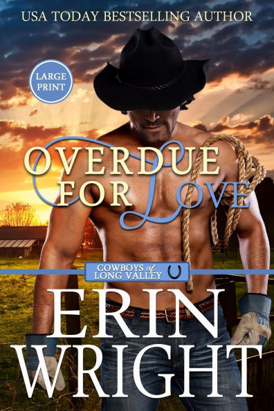 Overdue for Love: A Secret Baby Western Romance (Large Print)