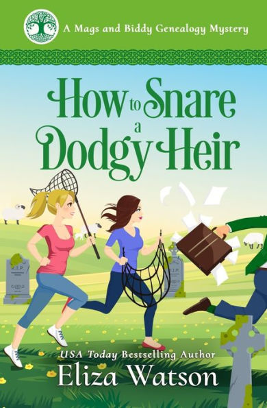 How to Snare a Dodgy Heir: A Cozy Mystery Set in Ireland