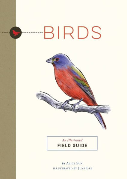 Birds: An Illustrated Field Guide