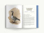 Alternative view 9 of Birds: An Illustrated Field Guide