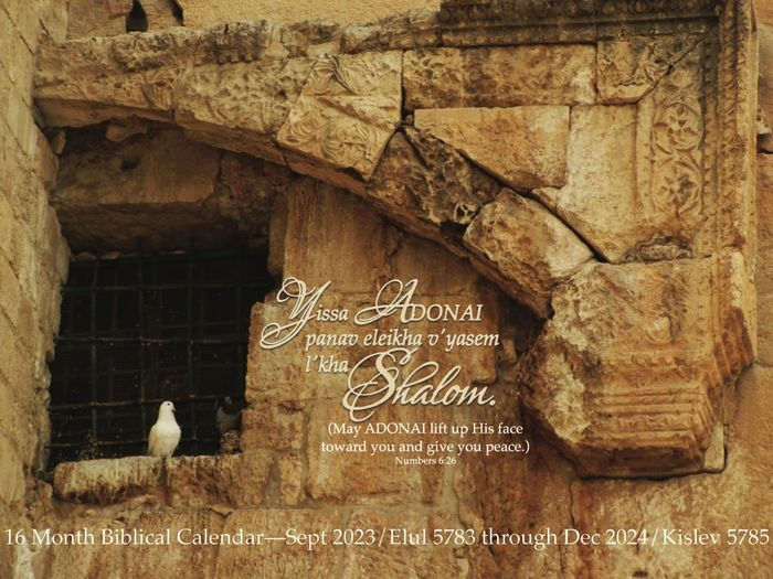 Shalom Calendar by Lisa Rubin Paperback Barnes Noble®