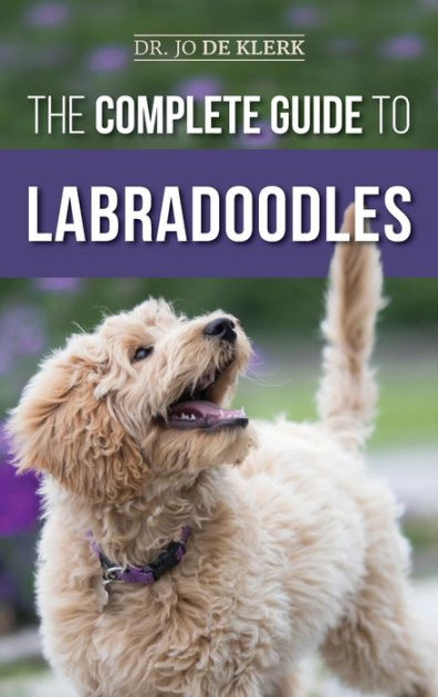 The Ultimate Guide to Choosing the Best Toys for Labradoodles