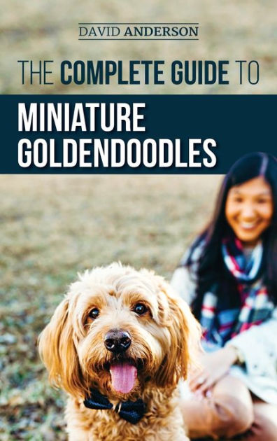 how much to feed goldendoodle puppy