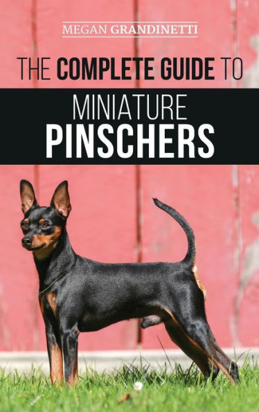 The Complete Guide To Miniature Pinschers: Training, Feeding ...