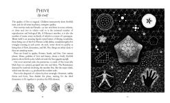 Alternative view 4 of Sacred Number: The Secret Qualities of Quantities