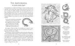 Alternative view 2 of A Little History of Dragons