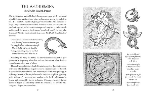 A Little History of Dragons