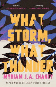 Title: What Storm, What Thunder, Author: Myriam JA Chancy