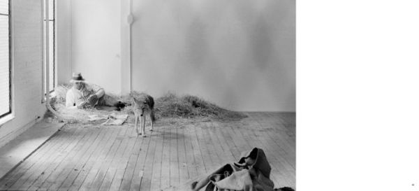 Stephen Aiken: An Artist, a Coyote, and a Cage: Joseph Beuys in New York 1974