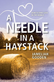 Title: A Needle in a Haystack: How to Find Love in the Rubble, Author: Jameliah Gooden
