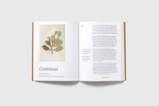 Alternative view 9 of In Pursuit of Color: From Fungi to Fossil Fuels: Uncovering the Origins of the World's Most Famous Dyes