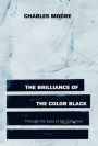 The Brilliance of the Color Black Through the Eyes of Art Collectors