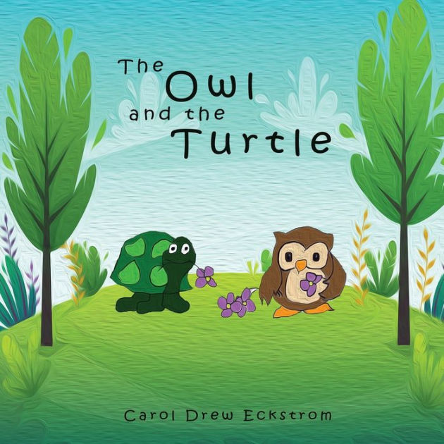 The Owl and the Turtle by Carol Drew Eckstrom, Paperback Barnes & Noble®