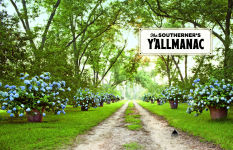 Alternative view 3 of The Southerner's Y'allmanac: A Compendium of Wit & Wisdom for All Seasons