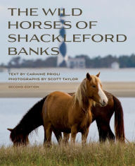 Title: Wild Horses of Shackleford Banks, Author: Carmine Prioli
