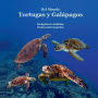 Las Tortugas Del Mundo Libro para Niï¿½os: Gran Manera para Que Los Niï¿½os Conozcan a Las Tortugas Del Mundo