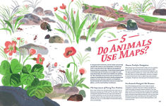 Alternative view 3 of Supernavigators: How Animals Find Their Way (Illustrated Young Readers Edition)