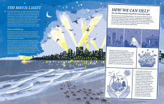 Alternative view 4 of Supernavigators: How Animals Find Their Way (Illustrated Young Readers Edition)
