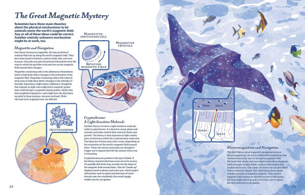 Supernavigators: How Animals Find Their Way (Illustrated Young Readers Edition)