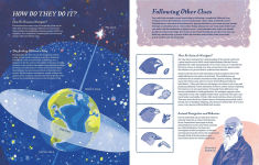 Alternative view 6 of Supernavigators: How Animals Find Their Way (Illustrated Young Readers Edition)