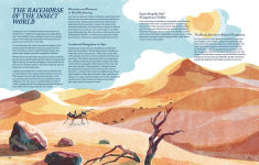 Alternative view 7 of Supernavigators: How Animals Find Their Way (Illustrated Young Readers Edition)