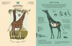 Alternative view 3 of Eatopedia: The Wild World of Animal Digestion
