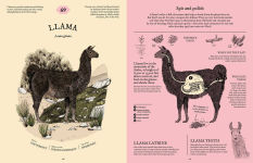 Alternative view 4 of Eatopedia: The Wild World of Animal Digestion