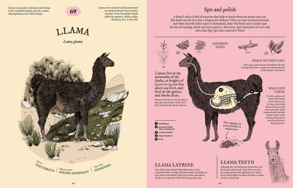 Eatopedia: The Wild World of Animal Digestion