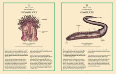 Alternative view 7 of Eatopedia: The Wild World of Animal Digestion