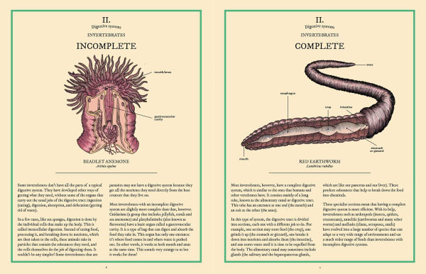 Eatopedia: The Wild World of Animal Digestion