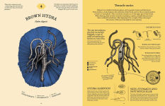 Alternative view 8 of Eatopedia: The Wild World of Animal Digestion