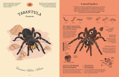 Alternative view 9 of Eatopedia: The Wild World of Animal Digestion