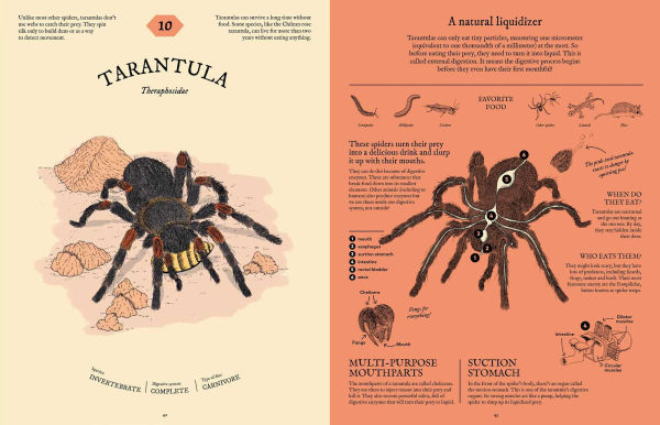 Eatopedia: The Wild World of Animal Digestion