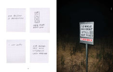 Alternative view 13 of Mostly Everything: The Art of Tucker Nichols