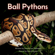 Title: Ball Pythons, Author: Jessica Lee Anderson