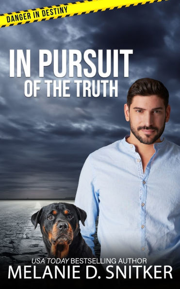 In Pursuit of the Truth: Christian Romantic Suspense